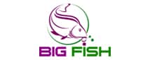 big fish logo